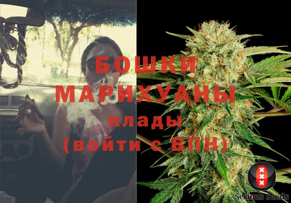 ПСИЛОЦИБИНОВЫЕ ГРИБЫ Мегион