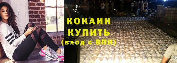 шишки Михайловка