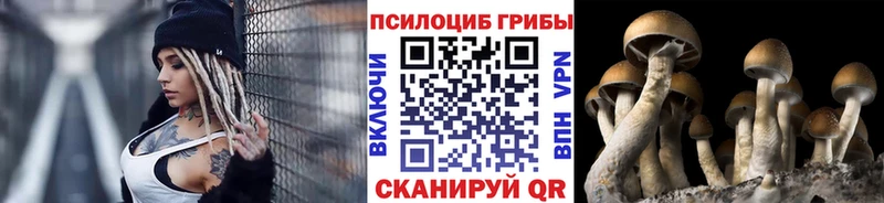 Галлюциногенные грибы прущие грибы  Нижняя Тура 